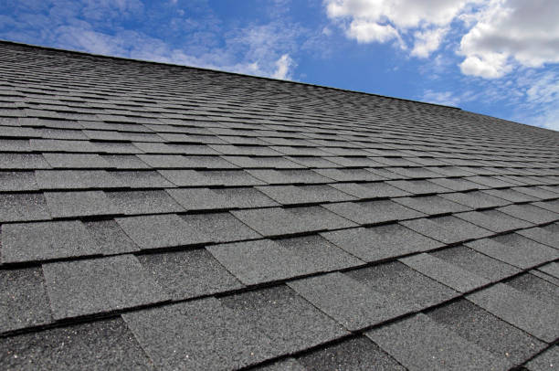 Best Roof Moss and Algae Removal  in Wylie, TX